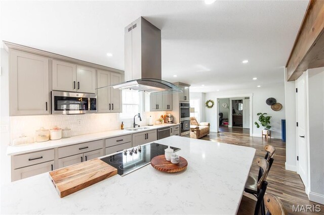 11720 County Road 5160, Rolla, MO 65401 - kitchen featuring stainless steel appliances, a sink, gray cabinets, island exhaust hood, and recessed lighting