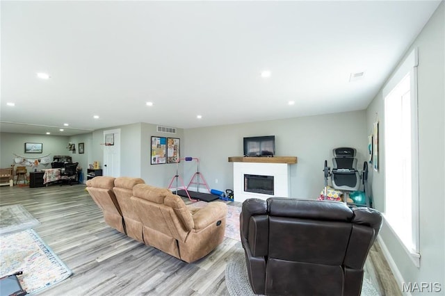 11720 County Road 5160, Rolla, MO 65401 - living area featuring a glass covered fireplace, light wood-style flooring, plenty of natural light, and recessed lighting