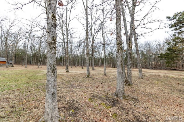 11720 County Road 5160, Rolla, MO 65401 - view of yard with a wooded view