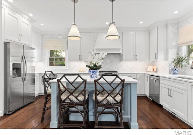 668 Clear Brook Dr, Des Peres, MO 63122 - kitchen with appliances with stainless steel finishes, premium range hood, a sink, healthy amount of natural light, and recessed lighting