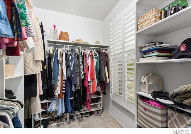 668 Clear Brook Dr, Des Peres, MO 63122 - walk in closet with carpet floors