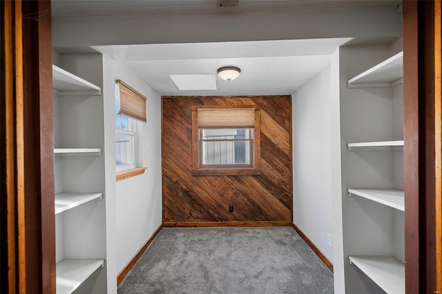 4511 Jamieson Ave, Saint Louis, MO 63109 - walk in closet featuring carpet