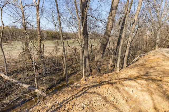 view of undeveloped land