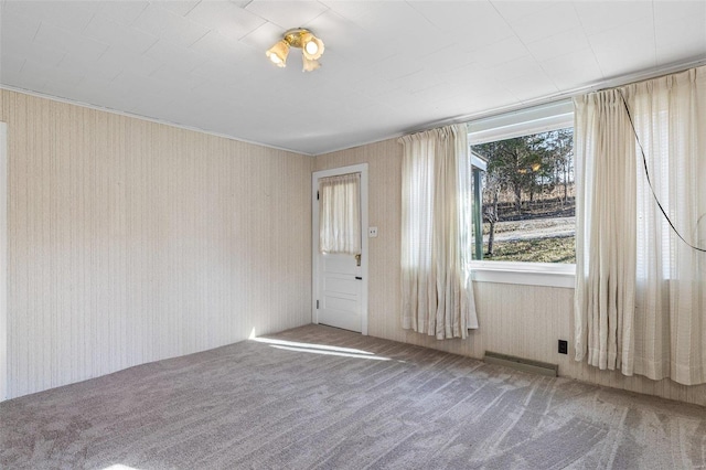 unfurnished room with carpet flooring