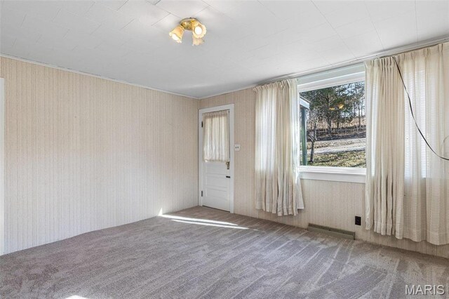 699 Clement Rd, Bloomsdale, MO 63627 - spare room featuring carpet flooring