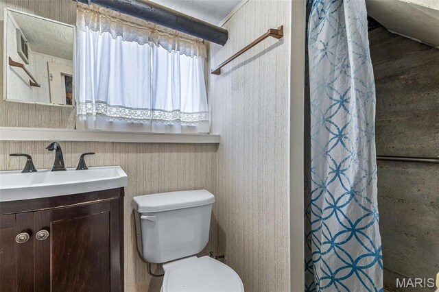 699 Clement Rd, Bloomsdale, MO 63627 - full bath featuring vanity, toilet, and curtained shower