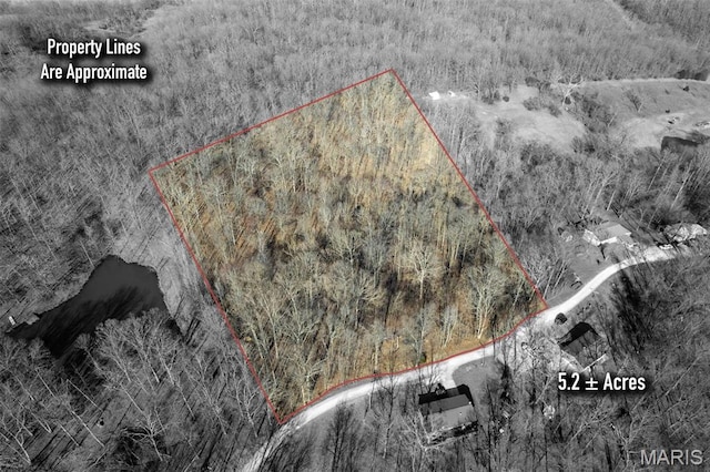 292 Cotoneaster Ln, Jackson, MO 63755 - photo 1