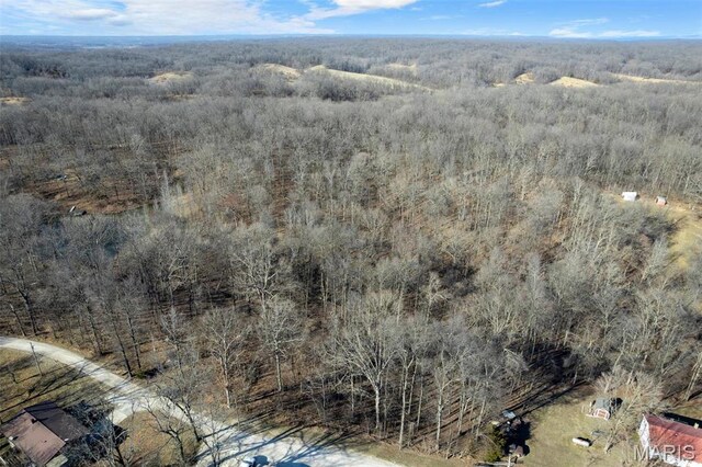 292 Cotoneaster Ln, Jackson, MO 63755 - photo 5