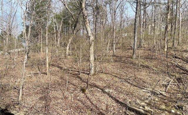 49 S Lake, Hillsboro, MO 63050