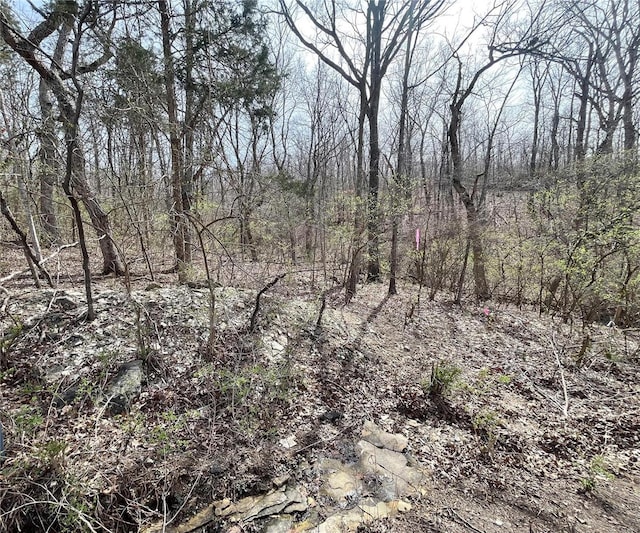 49 S Lake, Hillsboro, MO 63050