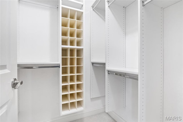 view of walk in closet