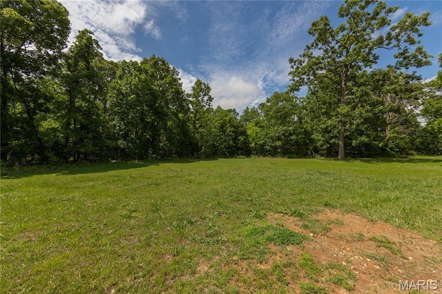 1575 County Road 3290, Salem, MO 65560 - view of grassy yard with a forest view