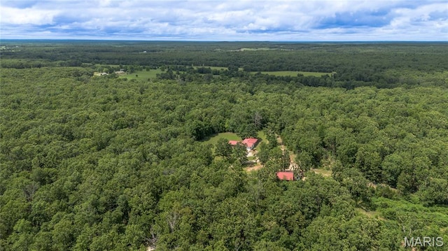 1575 County Road 3290, Salem, MO 65560 - aerial view of a forest