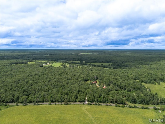 1575 County Road 3290, Salem, MO 65560 - drone / aerial view of a forest