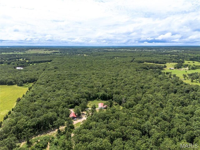 1575 County Road 3290, Salem, MO 65560 - drone / aerial view of a forest