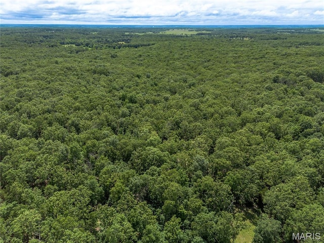 1575 County Road 3290, Salem, MO 65560 - aerial view of a heavily wooded area