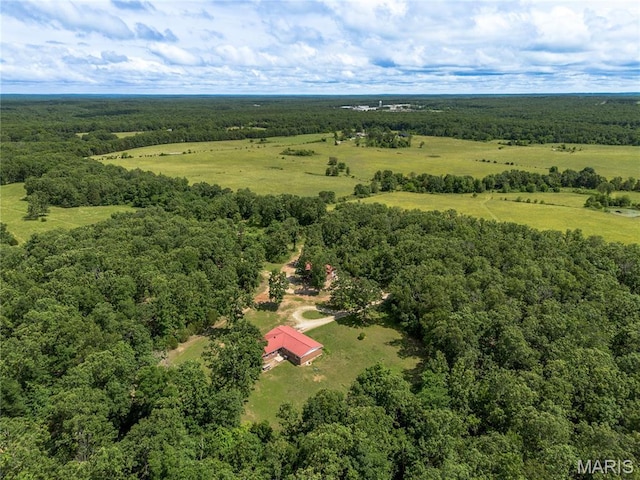 1575 County Road 3290, Salem, MO 65560 - drone / aerial view of a forest