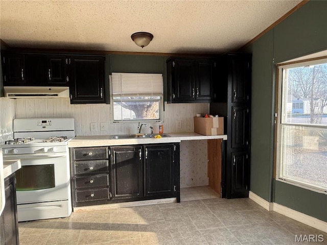 905 N Olive St, Saint Elmo, IL 62458 - kitchen featuring white range with gas cooktop, dark cabinetry, a sink, ventilation hood, and light countertops
