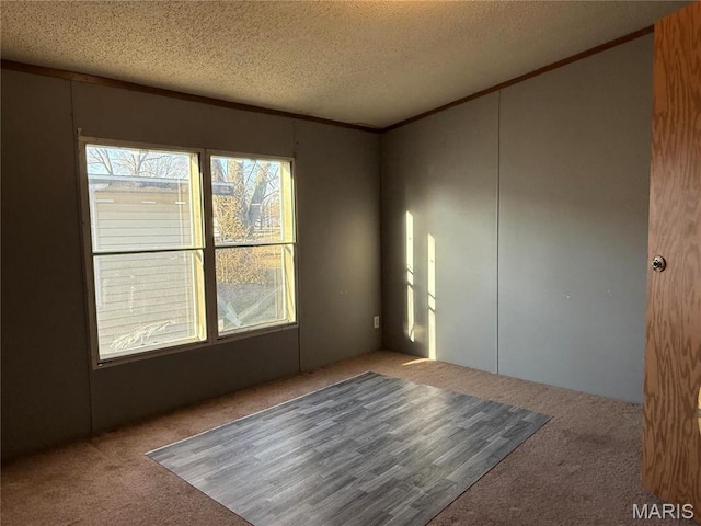 905 N Olive St, Saint Elmo, IL 62458 - spare room with carpet flooring, a textured ceiling, and crown molding