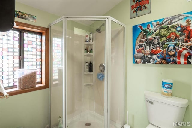 255 Wayne 406, Williamsville, MO 63967 - photo 55