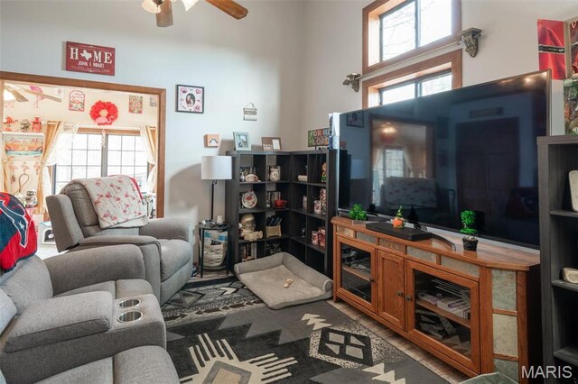 255 Wayne 406, Williamsville, MO 63967 - photo 58