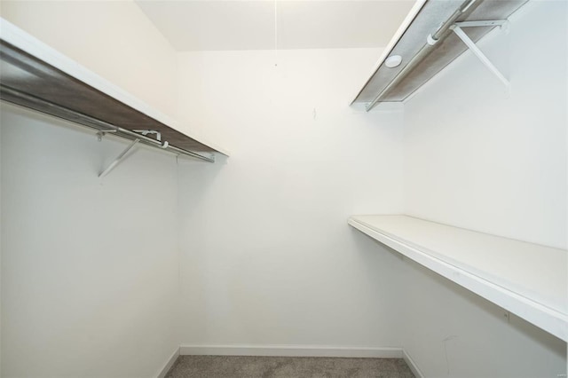 spacious closet with carpet floors