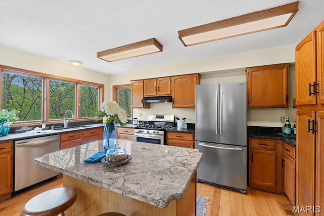 1346 Forest Splendor Trl, Wildwood, MO 63021 - kitchen with appliances with stainless steel finishes, under cabinet range hood, a sink, and plenty of natural light
