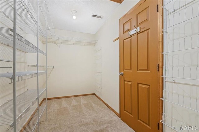 1346 Forest Splendor Trl, Wildwood, MO 63021 - walk in closet with carpet