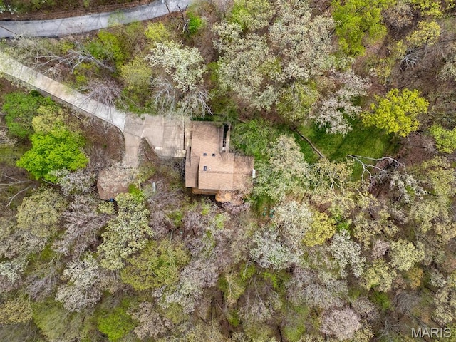 1346 Forest Splendor Trl, Wildwood, MO 63021 - view of subject property