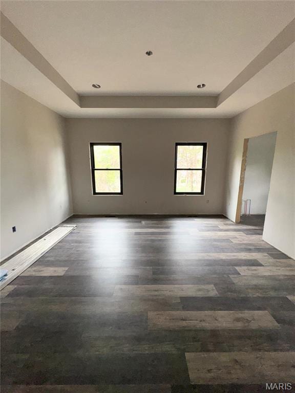 unfurnished room featuring a raised ceiling, plenty of natural light, and wood finished floors