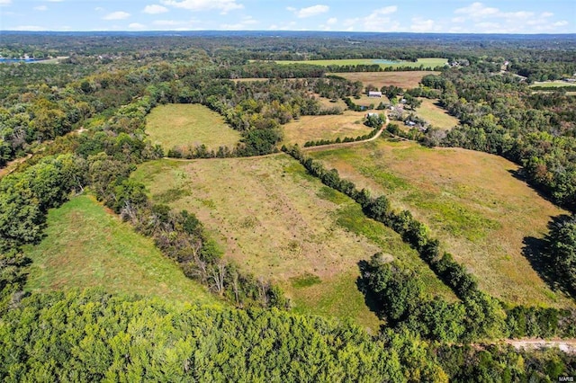 aerial view of a forest