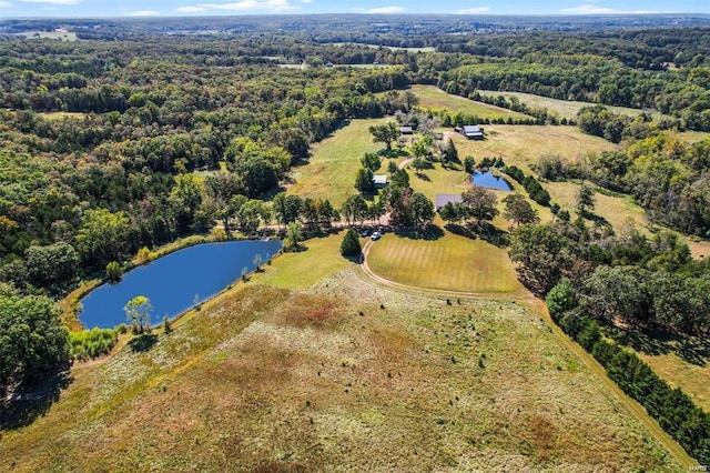 aerial view of a large body of water and a forest