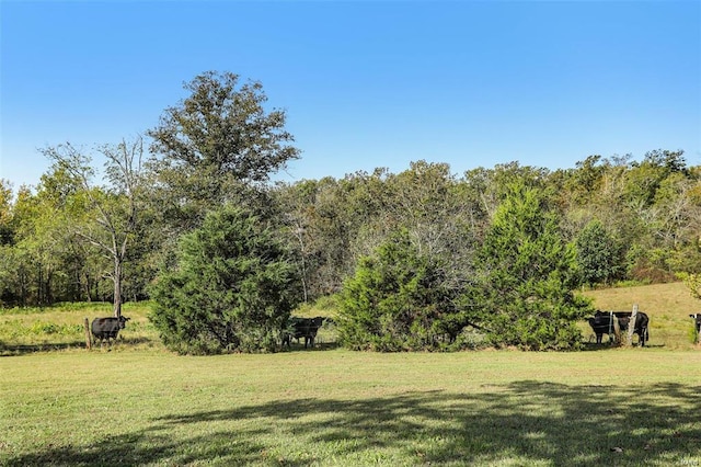 view of green lawn featuring a rural view and a forest view