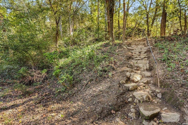 view of wooded area