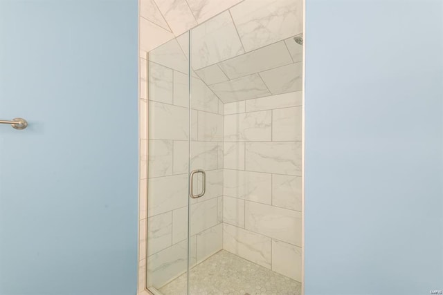 24345 State Route Ww Unit 40/41, Saint Genevieve, MO 63670 - full bath with a stall shower