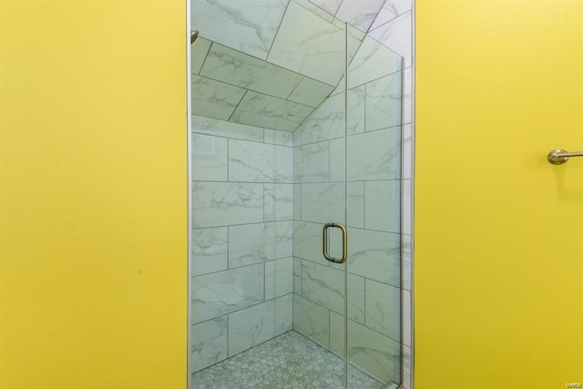 24345 State Route Ww Unit 40/41, Saint Genevieve, MO 63670 - bathroom with a stall shower