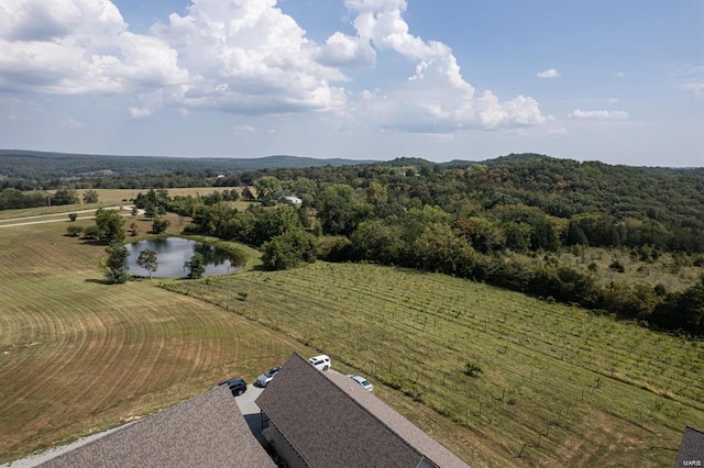 24345 State Route Ww Unit 40/41, Saint Genevieve, MO 63670 - drone / aerial view of a large body of water
