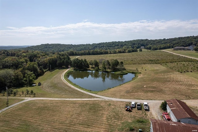24345 State Route Ww Unit 40/41, Saint Genevieve, MO 63670 - aerial view of a large body of water
