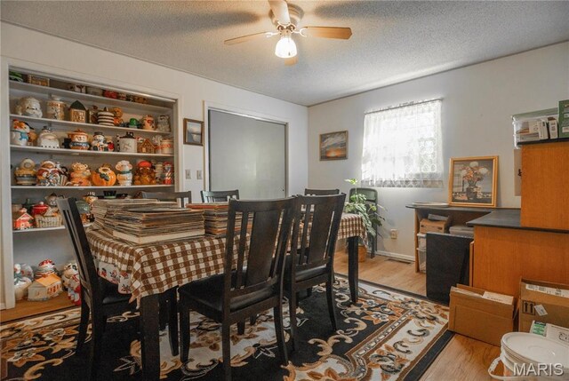 112 Perch Dr, Wappapello, MO 63966 - photo 20