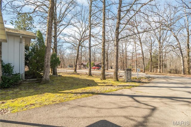 112 Perch Dr, Wappapello, MO 63966 - photo 31