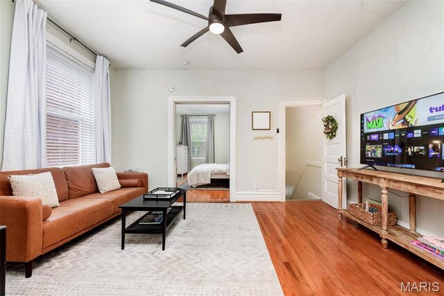 4271 Botanical Ave, Saint Louis, MO 63110 - photo 21