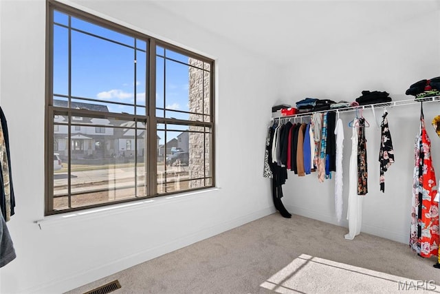 1 Canebrake Ct, Wentzville, MO 63385 - walk in closet featuring carpet flooring