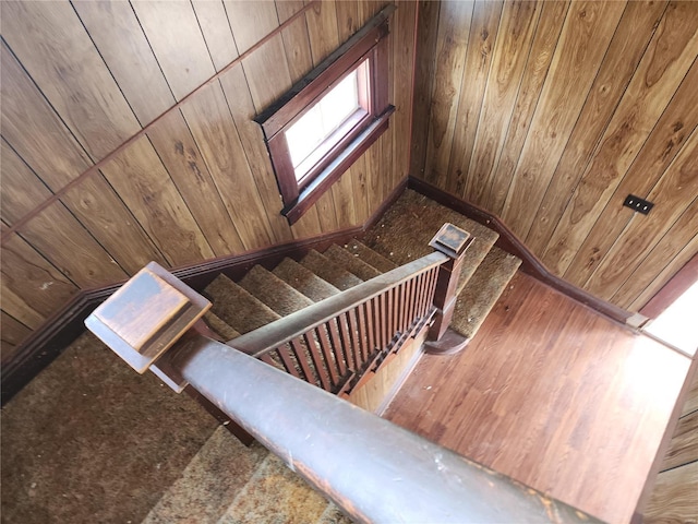 701 Alsey Smith Rd, Alsey, IL 62610 - stairs featuring wood walls