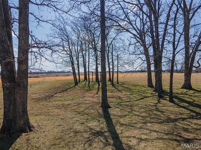 17205 Elk Prairie Dr, Rolla, MO 65401 - view of grassy yard