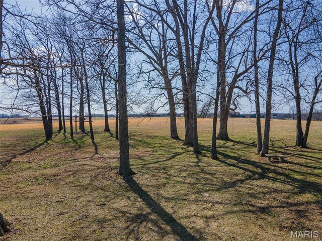 17205 Elk Prairie Dr, Rolla, MO 65401 - view of grassy yard