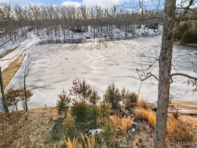 372 Alpine Lake Dr, Wright City, MO 63390 - water view