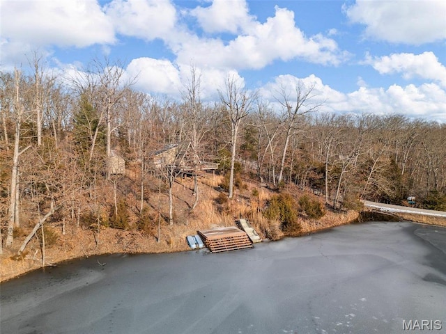 372 Alpine Lake Dr, Wright City, MO 63390 - view of asphalt street