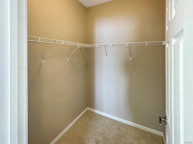 spacious closet with carpet flooring