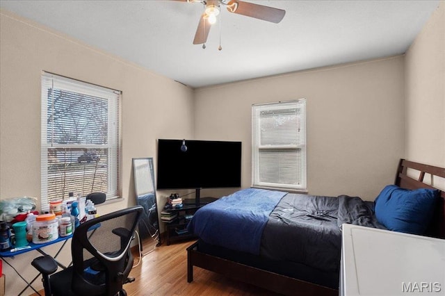 7304 Northern Dr, Belleville, IL 62223 - bedroom with multiple windows, wood finished floors, and a ceiling fan