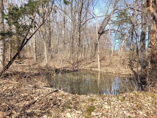 762 Cave Farm Rd, Troy, MO 63379 - water view